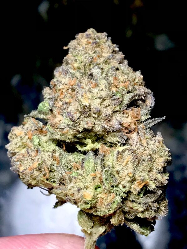 Ice Cream Cake THCa Hemp Flower