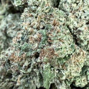 Gelato Punch THCa Hemp Flower